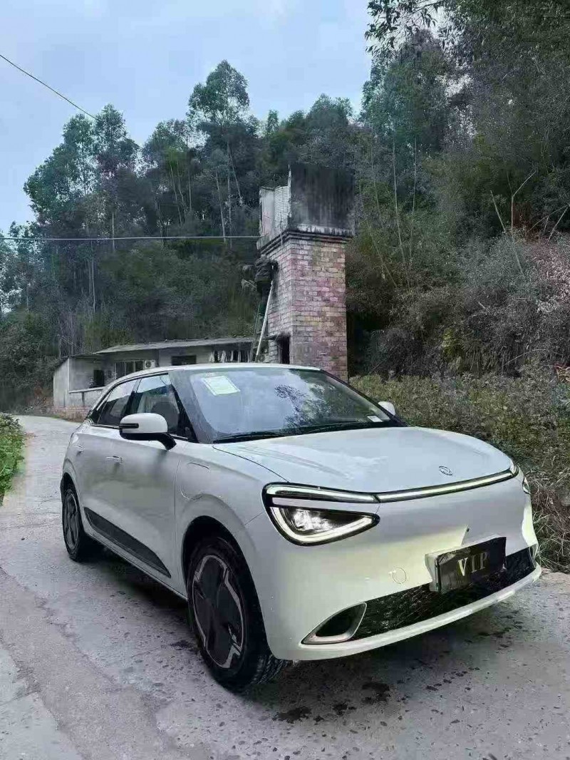 德阳25年东风纳米2