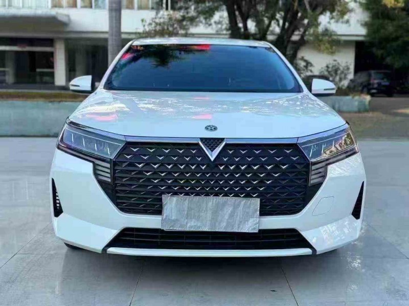 佛山24年启辰启辰星1