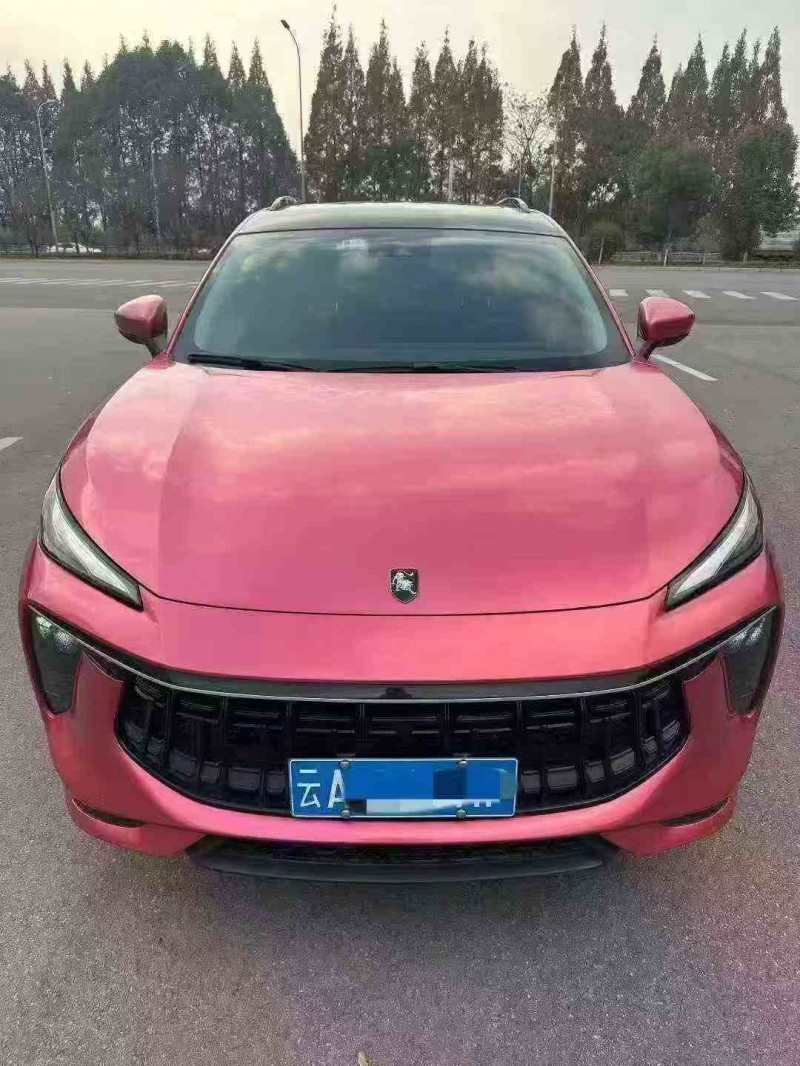 德阳21年东风风行1