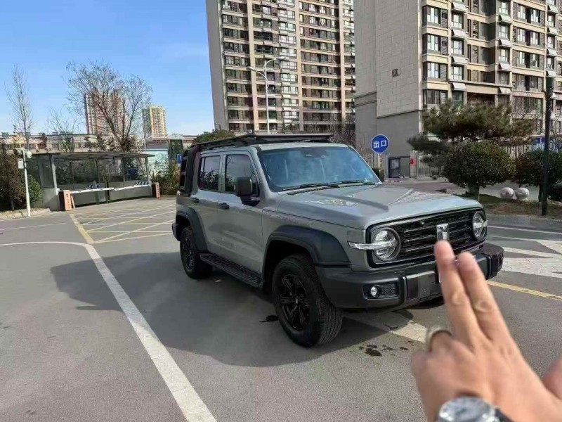 枣庄24年长城汽车坦克3