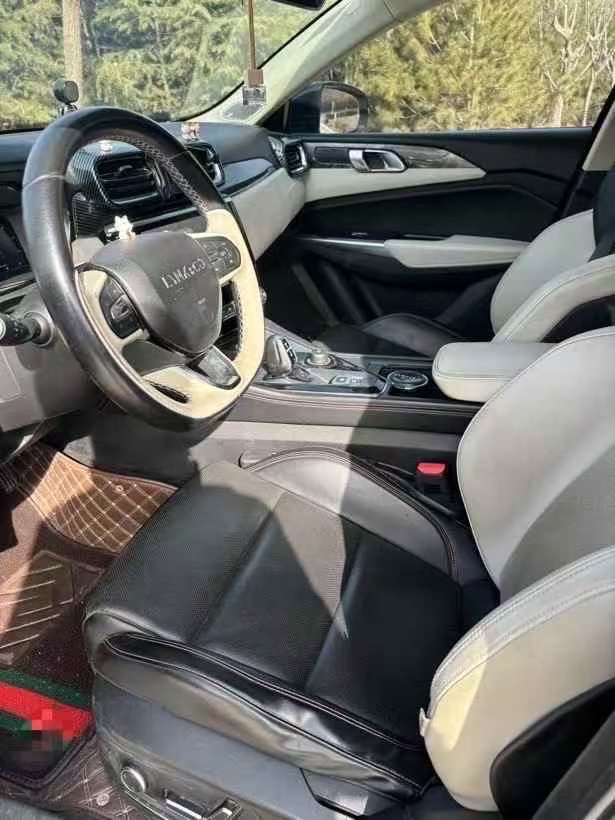 淄博21年领克026