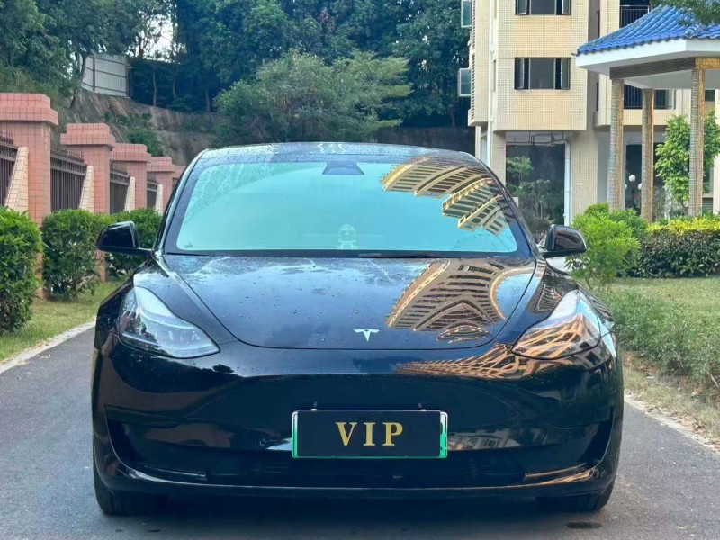 东莞23年特斯拉MODEL 31