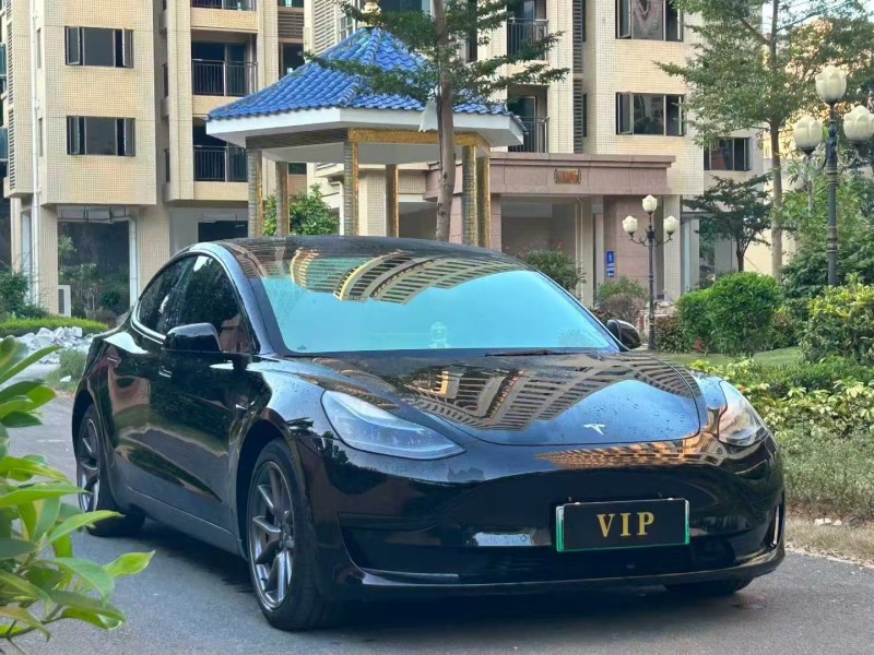 东莞23年特斯拉MODEL 33