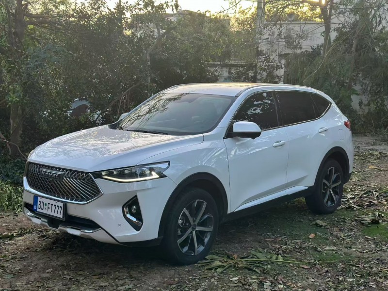 湛江21年哈弗F7x2