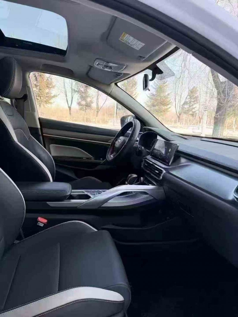 通化20年吉利缤瑞7