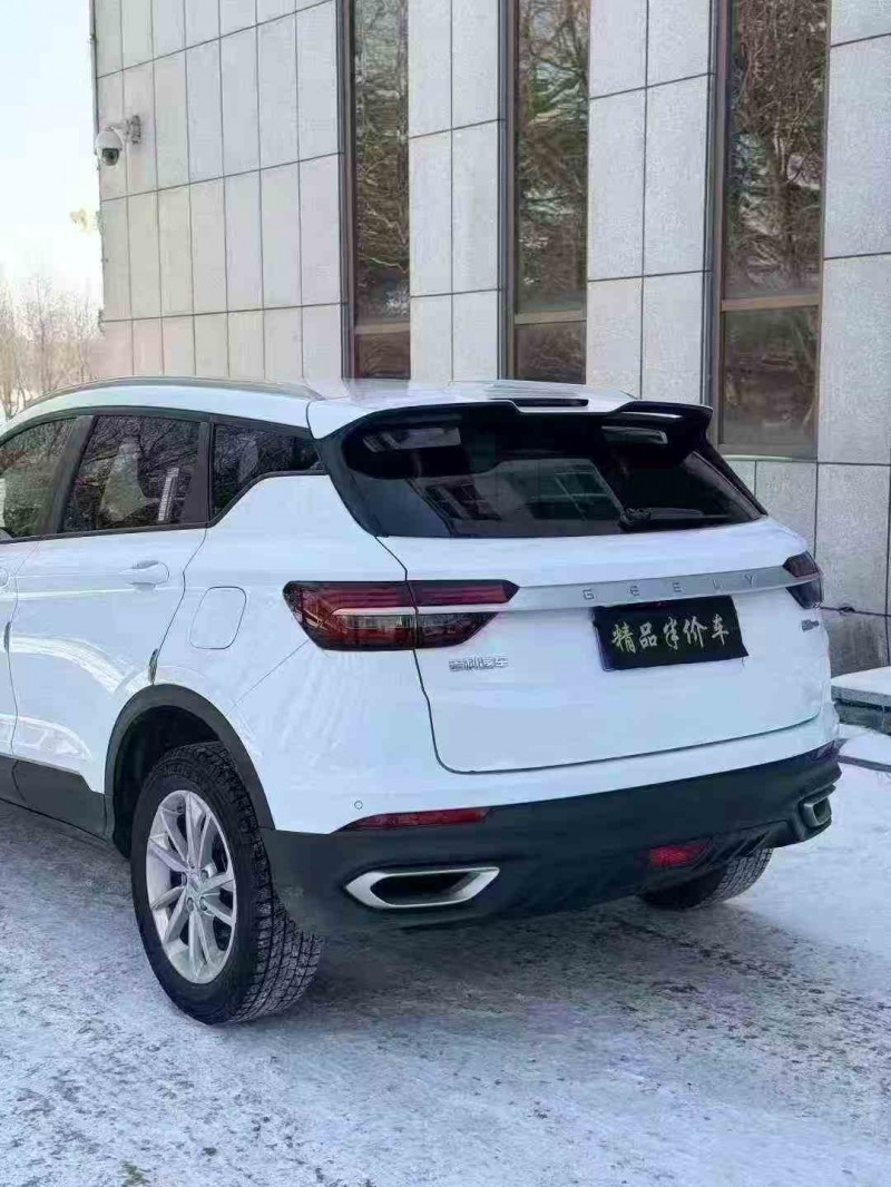 通化20年吉利缤瑞9