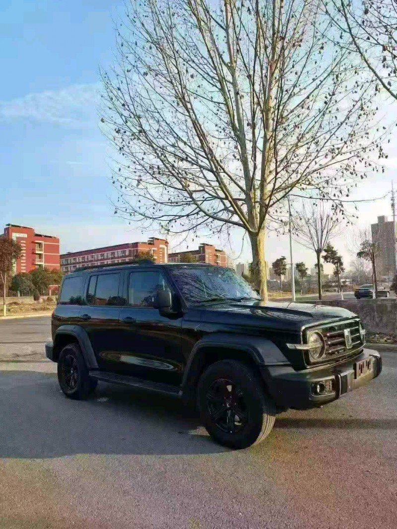 新乡23年长城汽车坦克3