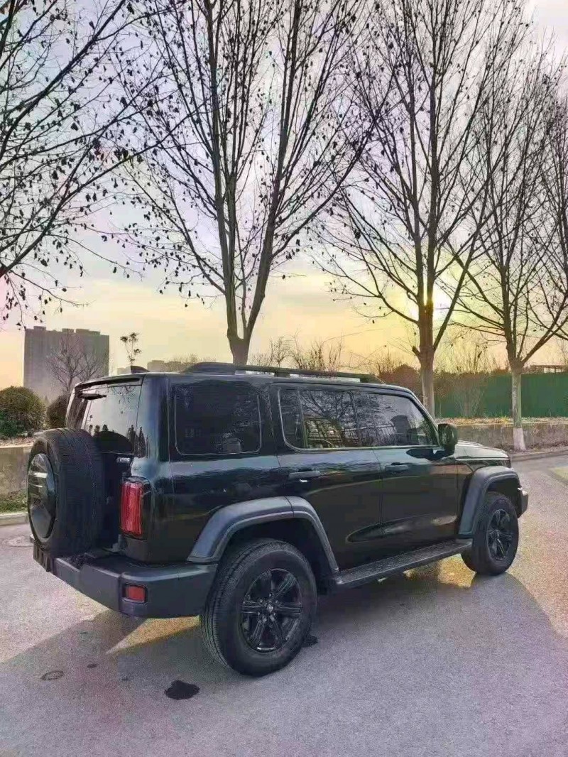 新乡23年长城汽车坦克9