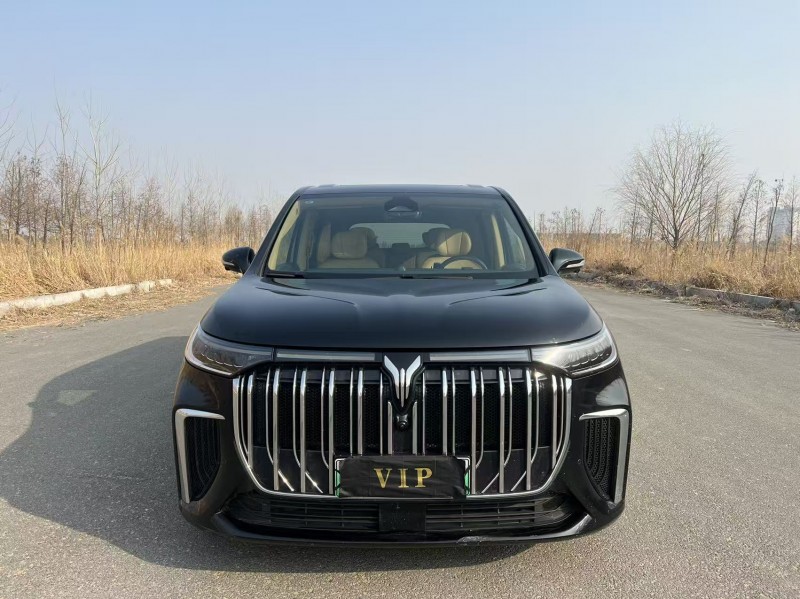 盐城24年岚图汽车梦想家1