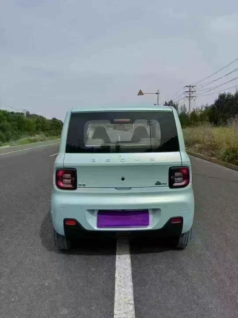 邯郸24年吉利熊猫7