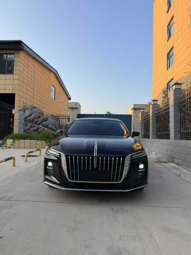 平顶山24年红旗H51