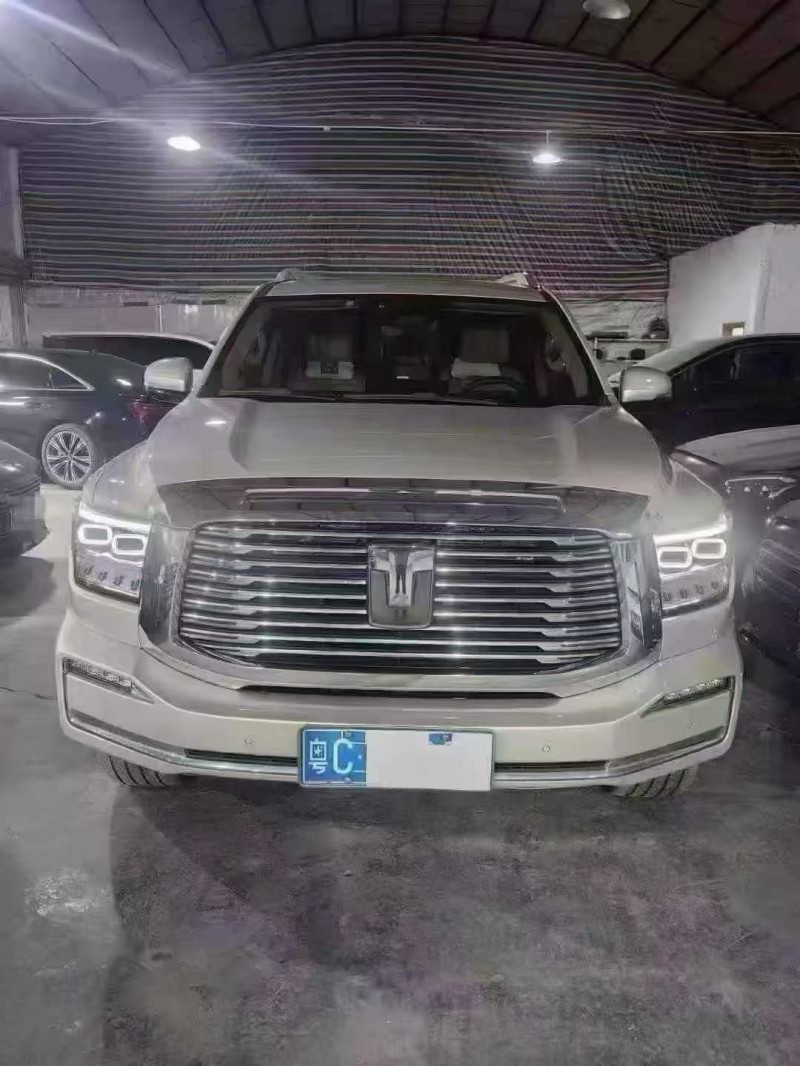 广州23年长城汽车坦克1