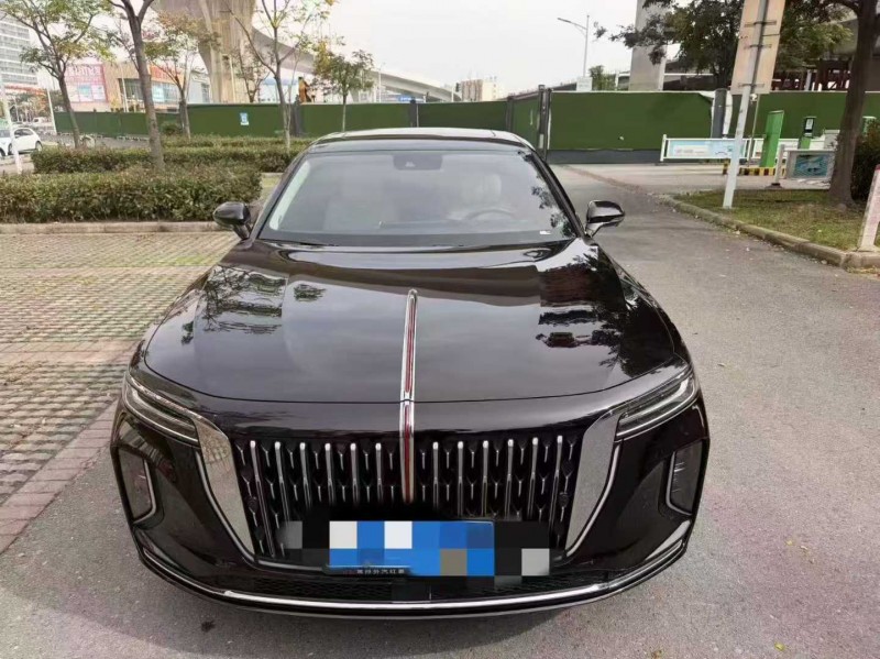 襄阳24年红旗H91