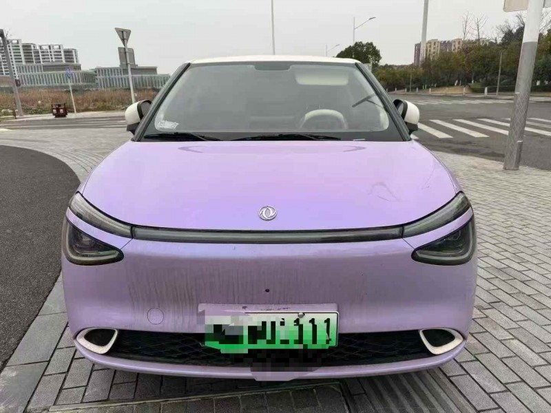 湖州24年东风纳米1