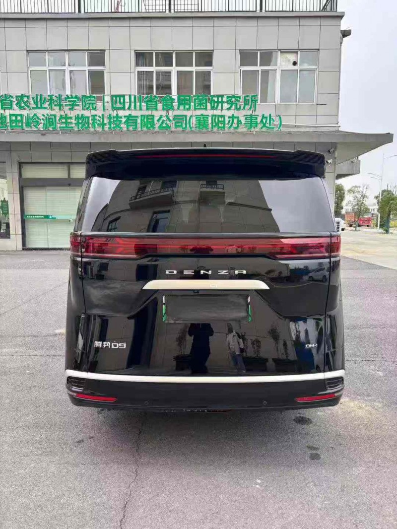 襄阳23年腾势D99