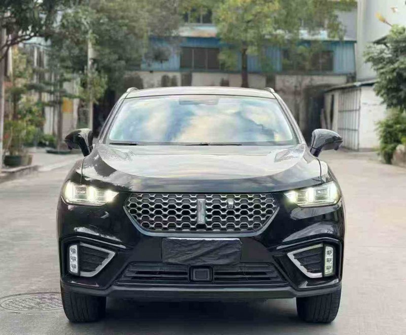 深圳21年长城汽车魏牌1