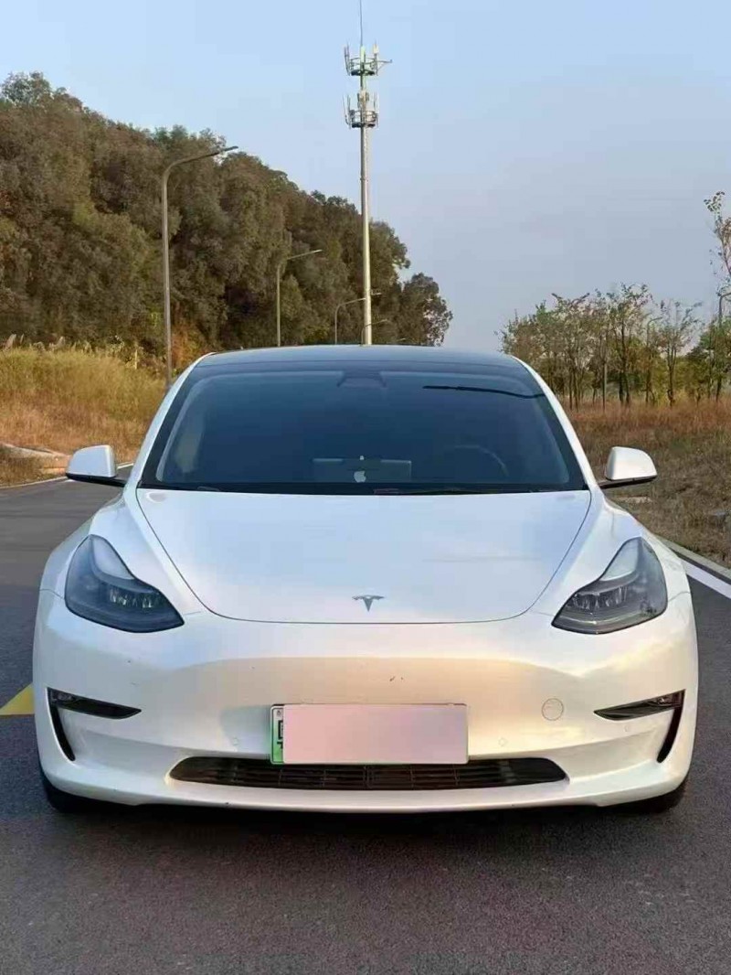 汕头22年特斯拉MODEL 31