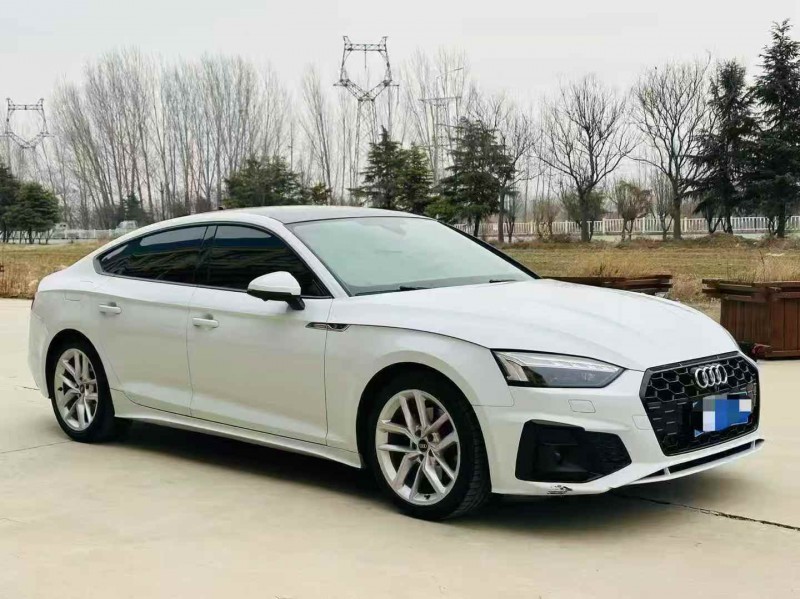 淄博22年奥迪A52