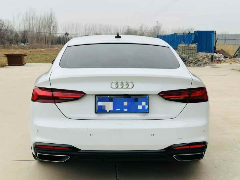 淄博22年奥迪A59