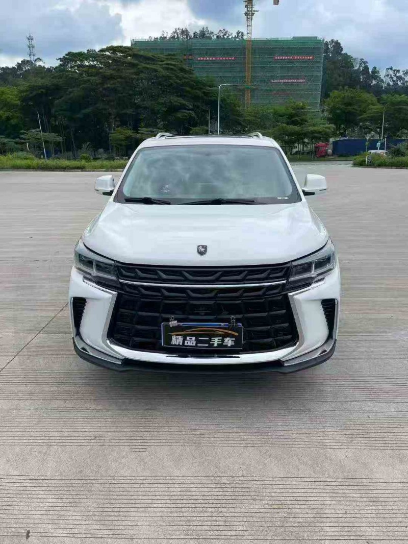 汕头24年东风风行1