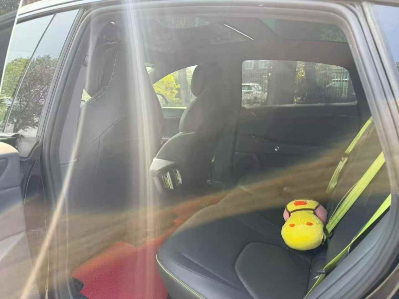 益阳25年极狐汽车阿尔法4