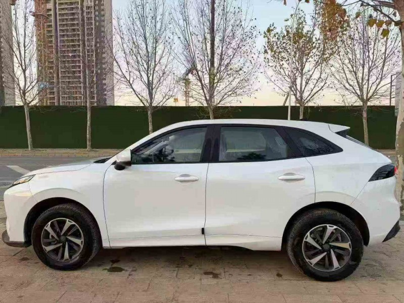 鄂州24年东风风行8