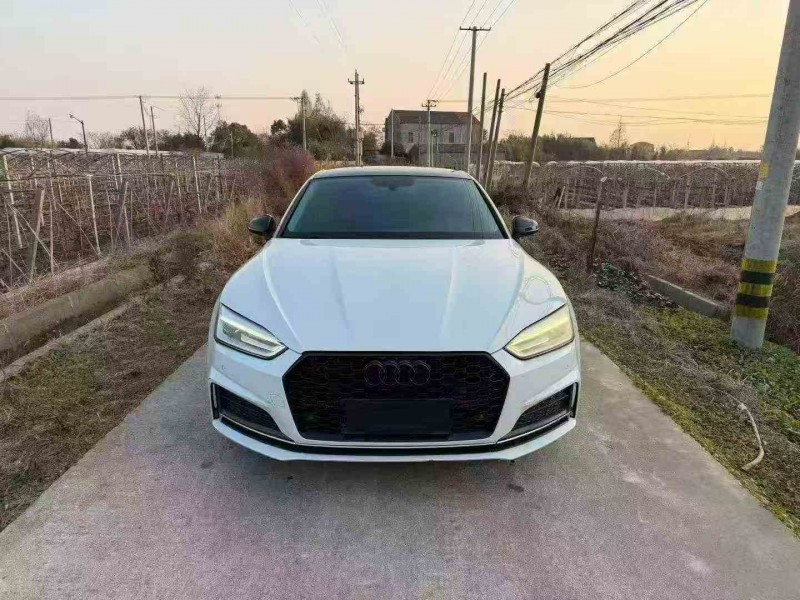 湖州18年奥迪A51