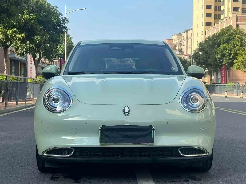 汕头24年长城汽车欧拉1