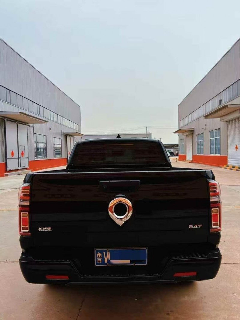 潍坊25年长城汽车炮 皮卡5