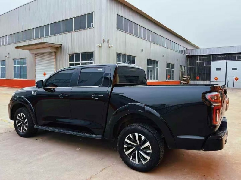 潍坊25年长城汽车炮 皮卡6