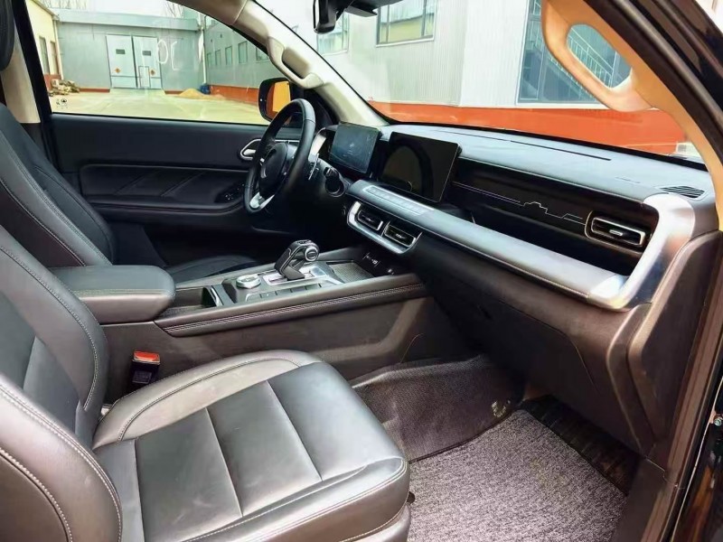 潍坊25年长城汽车炮 皮卡7