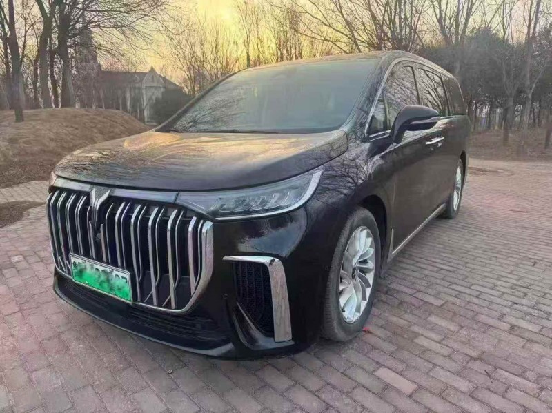 东营24年岚图汽车梦想家3