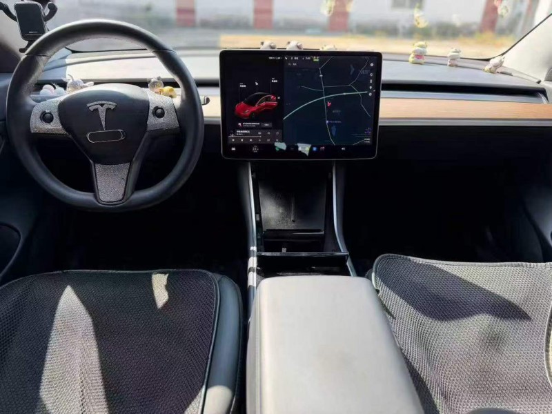 广州19年特斯拉MODEL 35