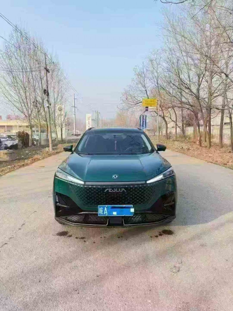 淮北24年东风风神1