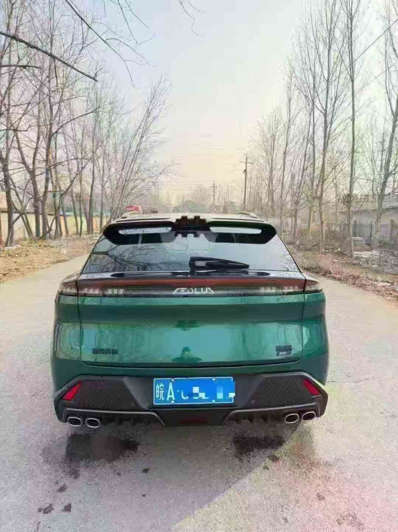 淮北24年东风风神9