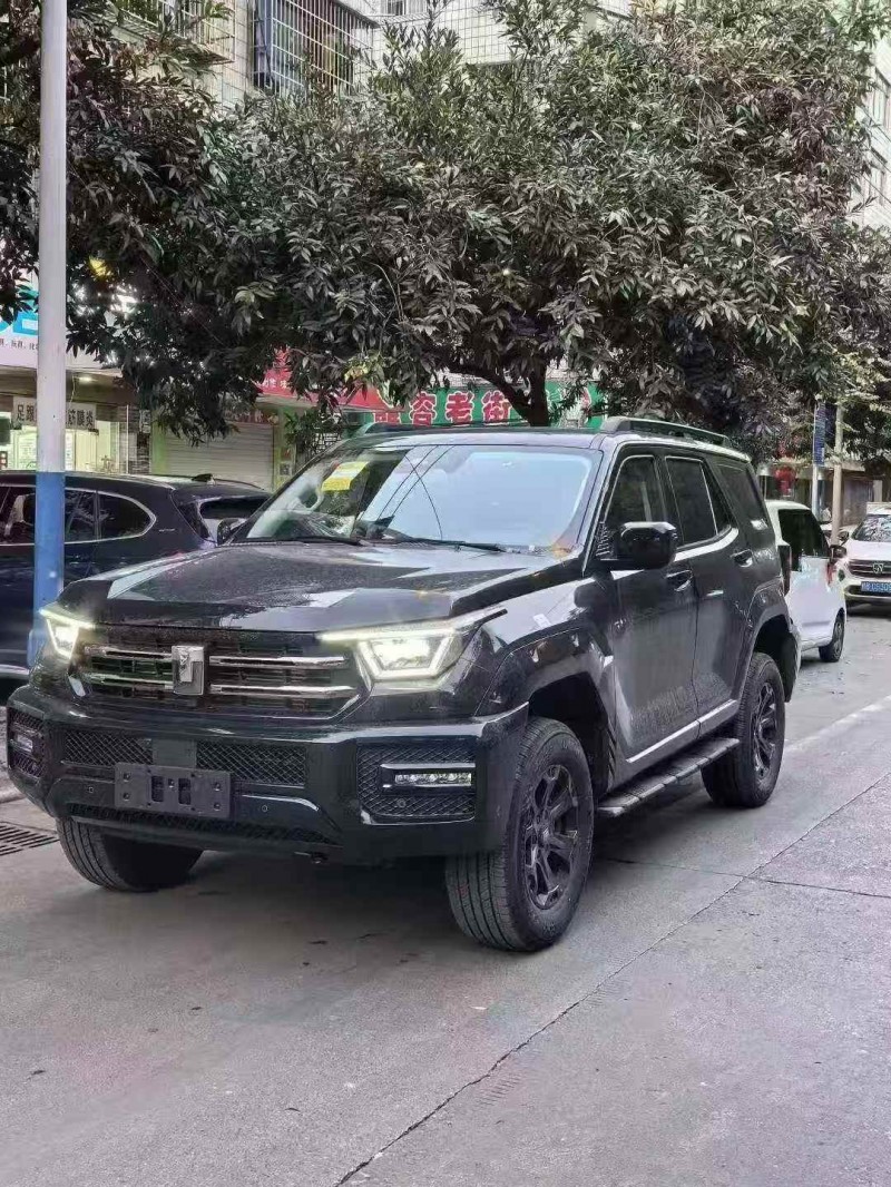 常德26年长城汽车坦克2