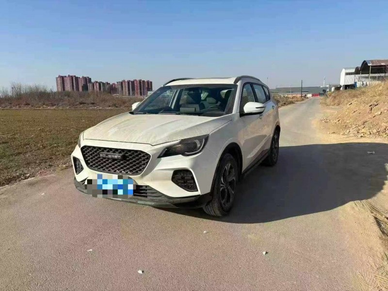 保定23年东南汽车DX81