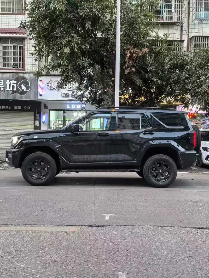 桂林26年长城汽车坦克2