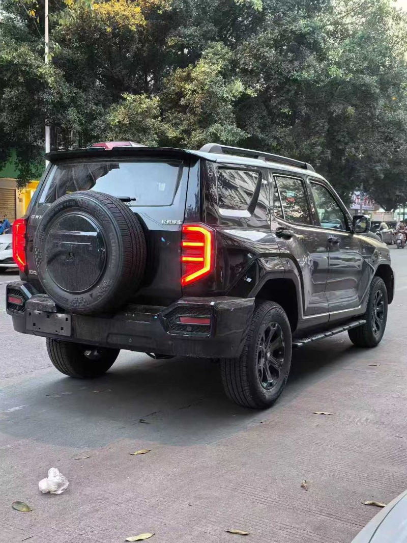 桂林26年长城汽车坦克6