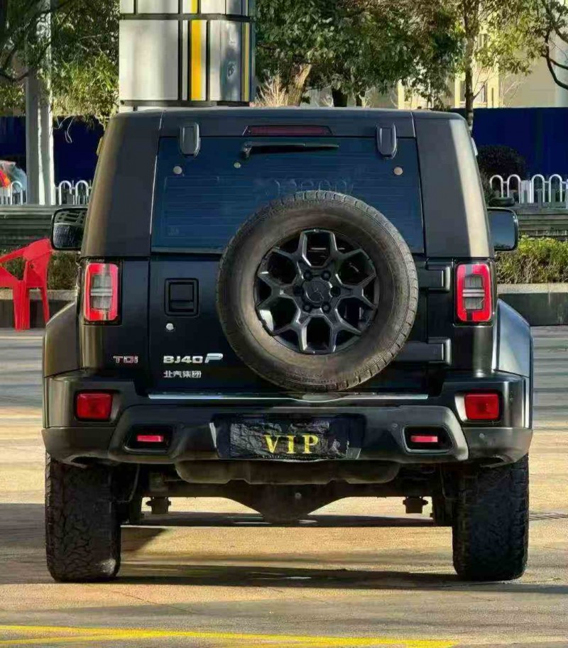 临沧22年北京BJ406