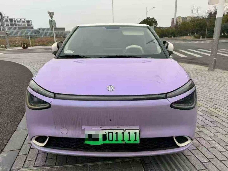 金华24年东风纳米1