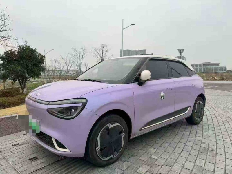 金华24年东风纳米2