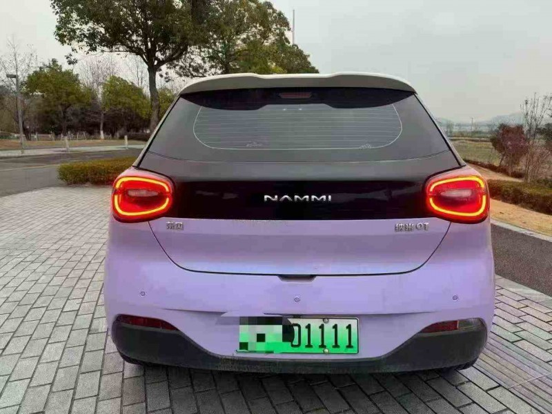 金华24年东风纳米9