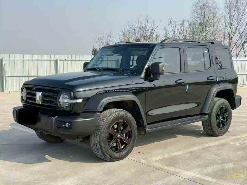 潍坊24年长城汽车坦克2