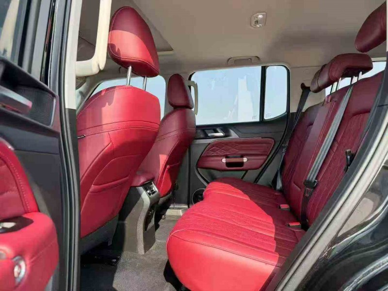 潍坊24年长城汽车坦克6