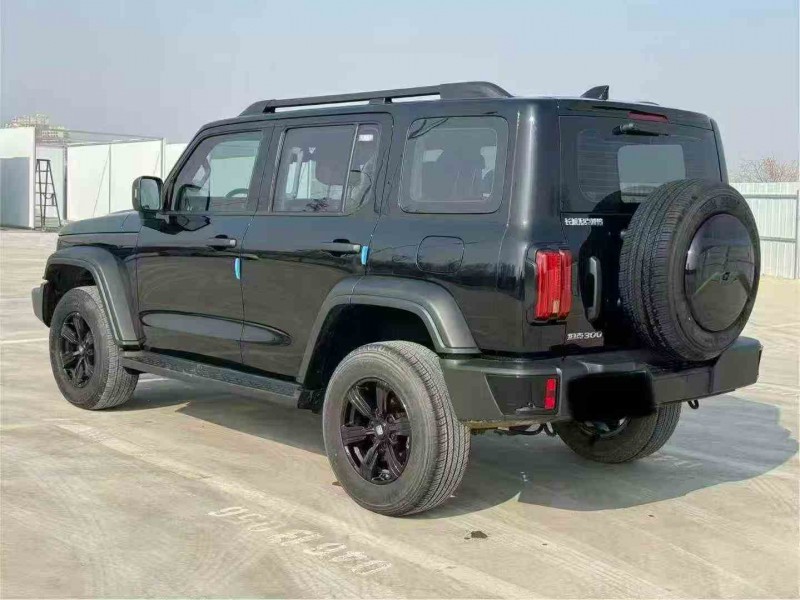 潍坊24年长城汽车坦克7