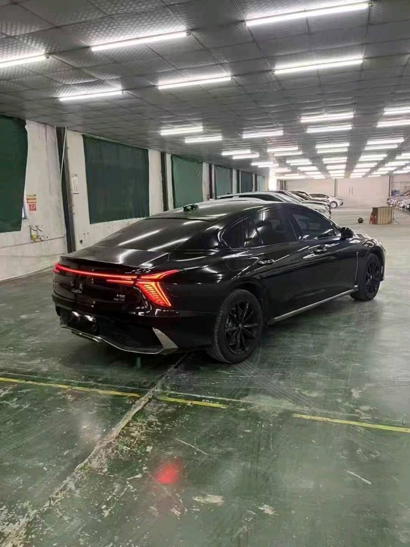 蚌埠24年红旗H69