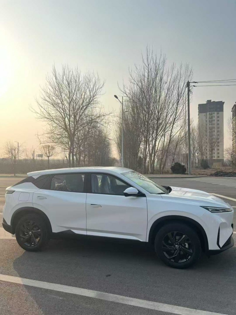 邯郸25年东风风神3