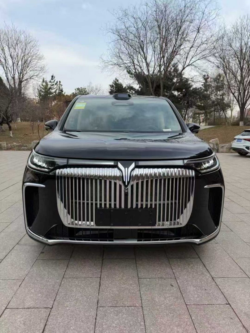 邢台26年岚图汽车梦想家1