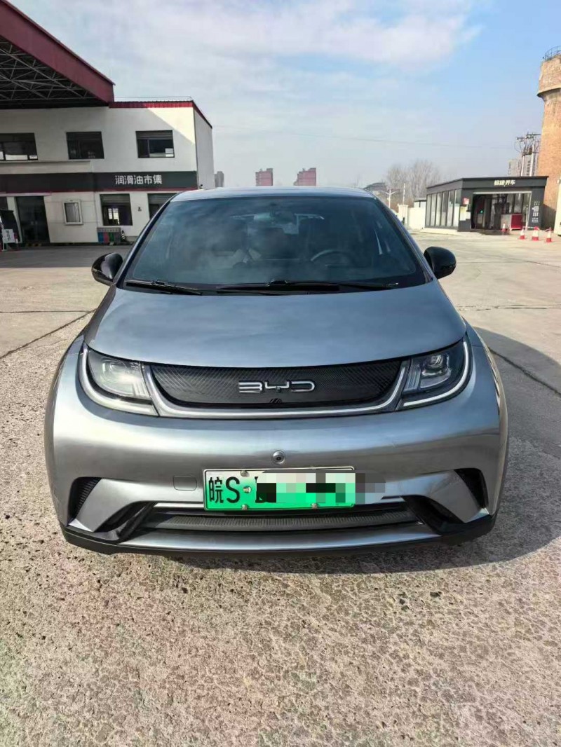 保定24年比亚迪海豚1
